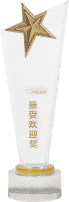 最受欢迎奖